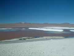 20-Salt in Laguna Colorado